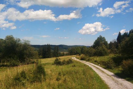 Jak se dopravit na Běhej lesy Boletice