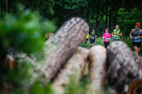 Registrace běží i na místě. Nemůžeš běžet? Sleduj nás online!