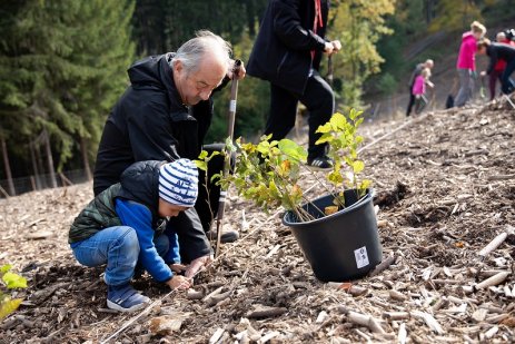 Lesy ČR přichystaly 400 pracovních akcí: Vyvrcholí říjnovým Dnem za obnovu lesa