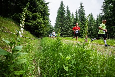 Aktualizace opatření MZ ČR a systém závodu ve Slavkovském lese 