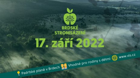 Brdské stromsázení 2022:  Vojenské lesy zapojí do obnovy krajiny v Brdech veřejnost, každý si zasadí „svůj“ strom